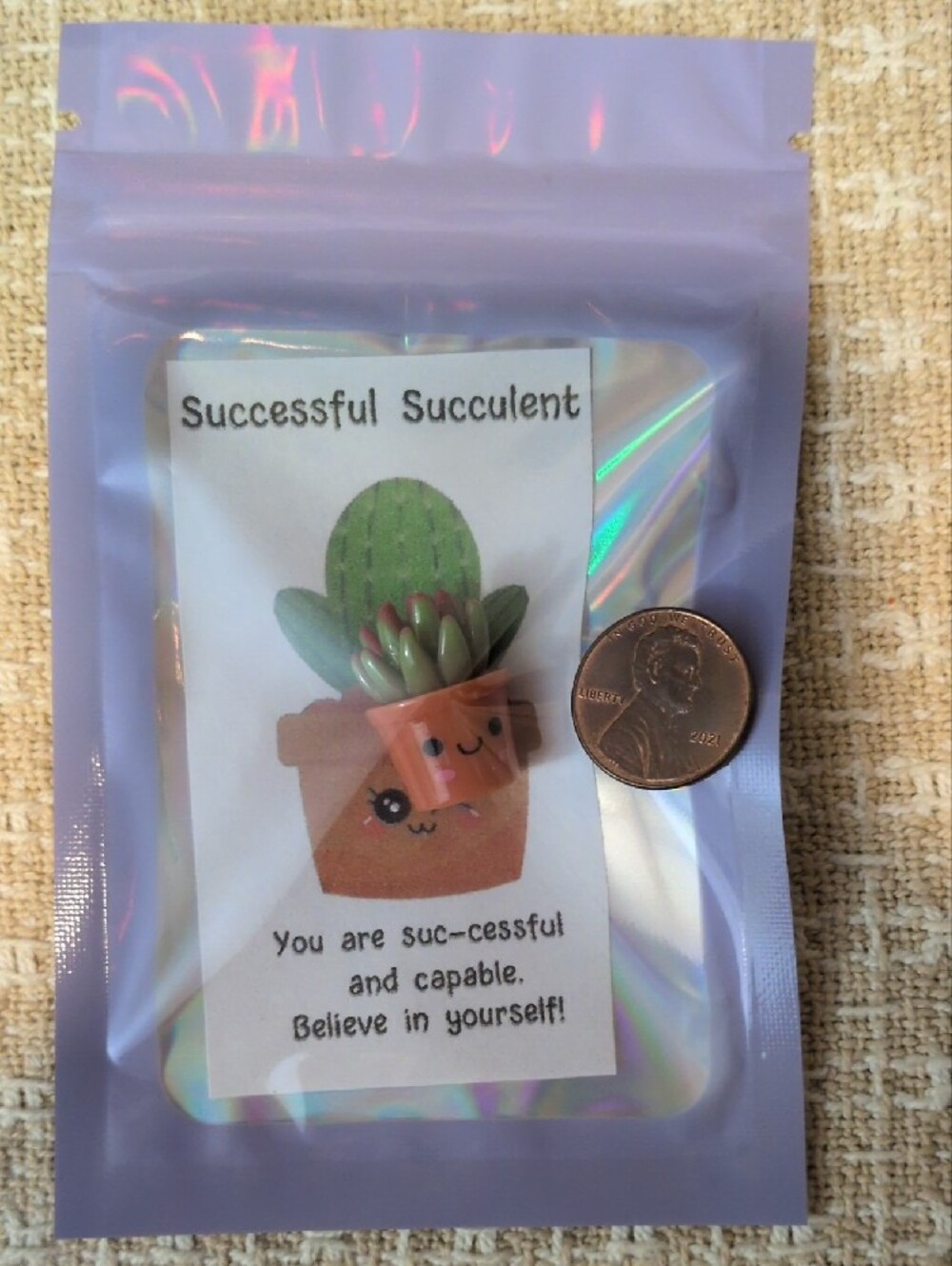 Successful Succulent Miniature - Picture 3 of 3